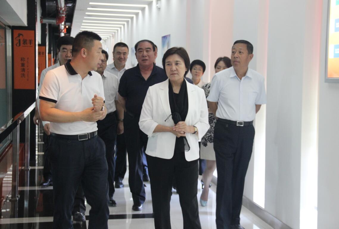 自治區(qū)黨委副書記、自治區(qū)主席布小林蒞臨協(xié)會會長單位——蒙羊牧業(yè)公司視察調(diào)研