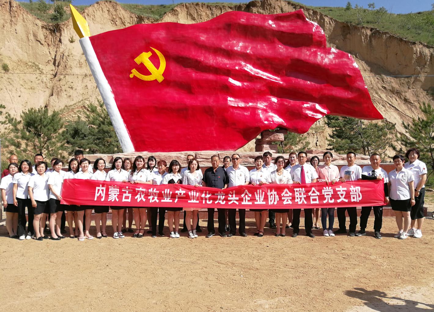 內(nèi)蒙古農(nóng)牧業(yè)產(chǎn)業(yè)化龍頭企業(yè)協(xié)會走進石人灣村開展“辦實事、解難題，送溫暖，傳黨恩”公益活動